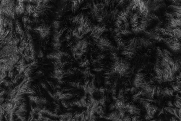 黒ウールテクスチャ毛皮の背景暗い柔らかい素材抽象的な表面パターン自然 — ストック写真
