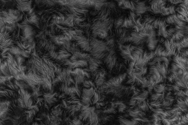 Fekete Gyapjú Textúra Szőrme Háttér Sötét Puha Anyag Elvont Felület — Stock Fotó