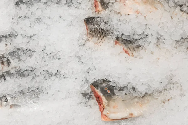 Pesce Crudo Congelato Freddo Nel Ghiaccio Frutti Mare Freschi Sul — Foto Stock