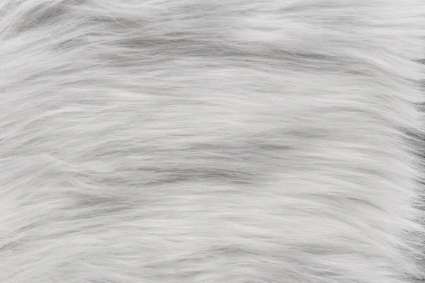 Witte Zachte Wol Patroon Textuur Abstract Licht Pluizig Bont Achtergrond — Stockfoto