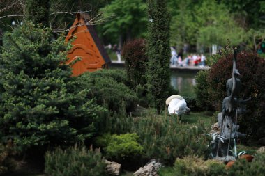 Göl kenarındaki yeşil, bakımlı güzel bir park.
