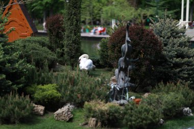 Göl kenarındaki yeşil, bakımlı güzel bir park.