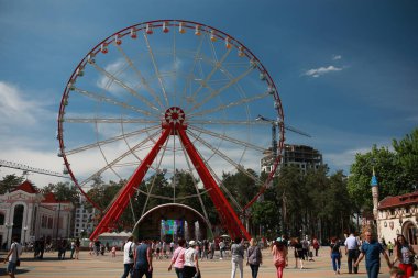 Güzel büyük çocuklar atlıkarıncalarla park ederler.