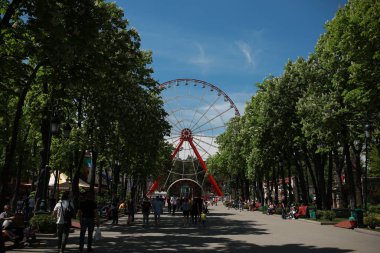 Bir sürü ağaç ve bitki örtüsü olan kocaman yeşil bir park.