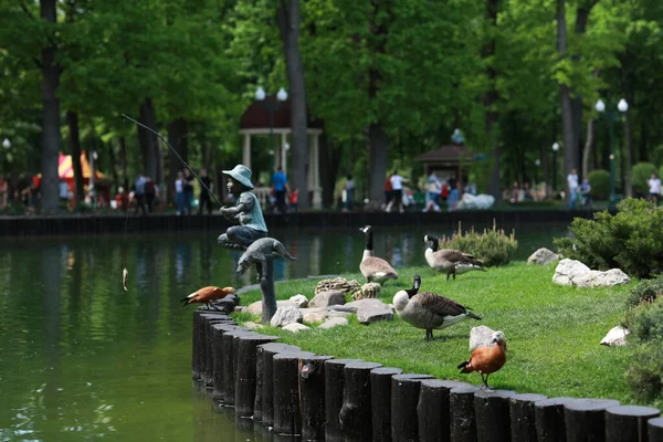 Göl kenarındaki yeşil, bakımlı güzel bir park.