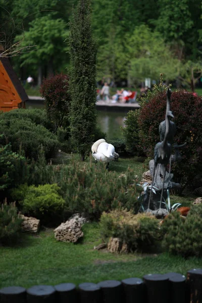 Göl kenarındaki yeşil, bakımlı güzel bir park.