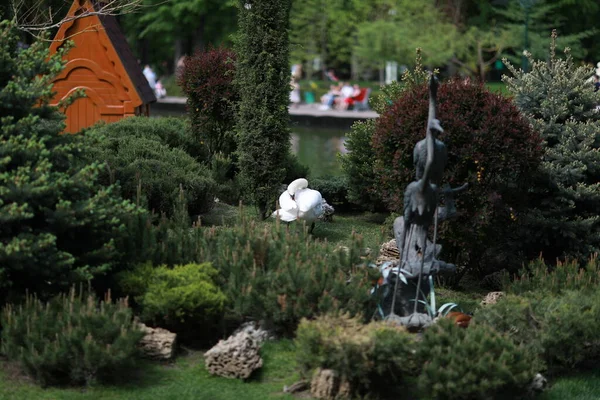 Göl kenarındaki yeşil, bakımlı güzel bir park.