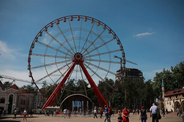 Güzel büyük çocuklar atlıkarıncalarla park ederler.
