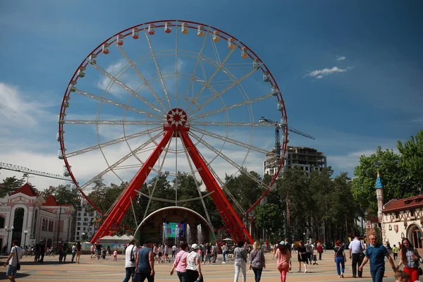 Güzel büyük çocuklar atlıkarıncalarla park ederler.