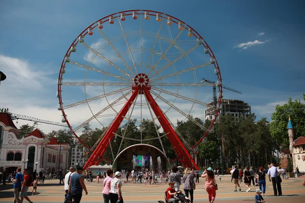 Güzel büyük çocuklar atlıkarıncalarla park ederler.