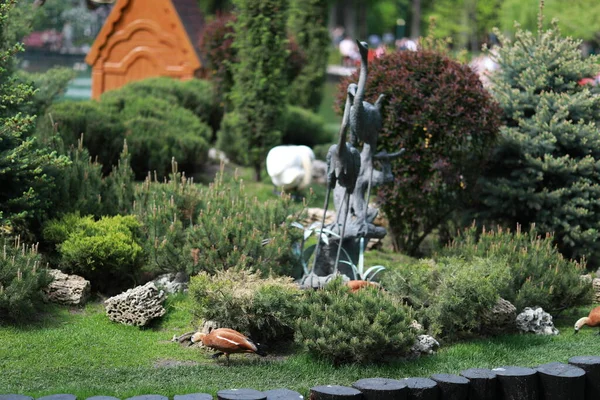 Göl kenarındaki yeşil, bakımlı güzel bir park.