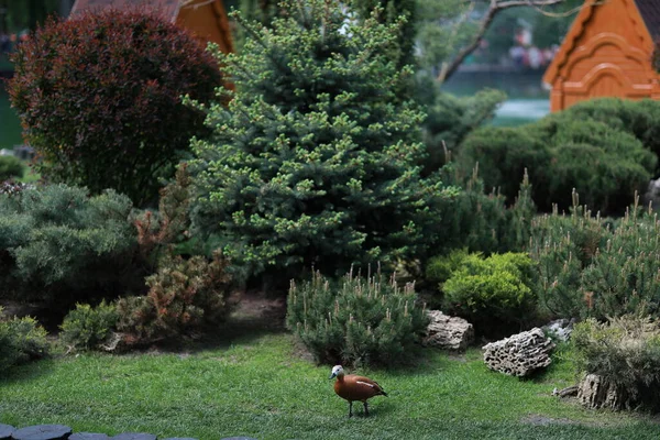 Göl kenarındaki yeşil, bakımlı güzel bir park.