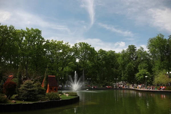 Зеленый ухоженный красивый парк у озера — стоковое фото