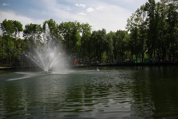 Un hermoso parque grande con animales bien cuidados y un río en la ciudad — Foto de Stock