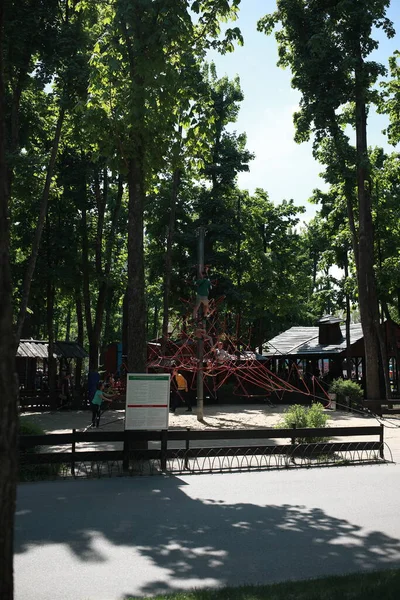 Mooi groot groen park met veel bomen en flora — Stockfoto