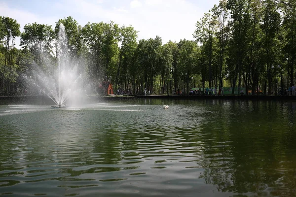 Een prachtig groot park met goed verzorgde dieren en een rivier in de stad — Stockfoto