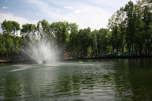 Красивый большой парк с ухоженными животными и рекой в городе — стоковое фото