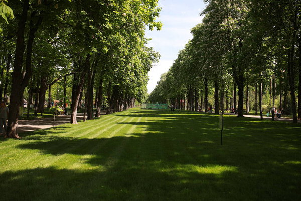 Beautiful large green park with many trees and flora. High quality photo