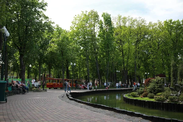 Зеленый ухоженный красивый парк у озера — стоковое фото