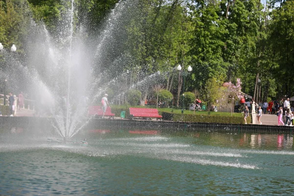 Un beau grand parc avec des animaux bien entretenus et une rivière dans la ville — Photo