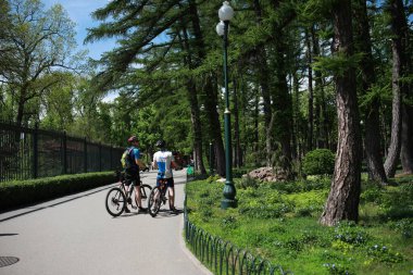 Bir sürü ağaç ve bitki örtüsü olan kocaman yeşil bir park.