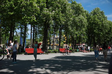 Bir sürü ağaç ve bitki örtüsü olan kocaman yeşil bir park.