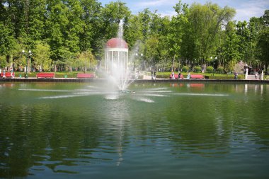 Bir sürü ağaç ve bitki örtüsü olan kocaman yeşil bir park.