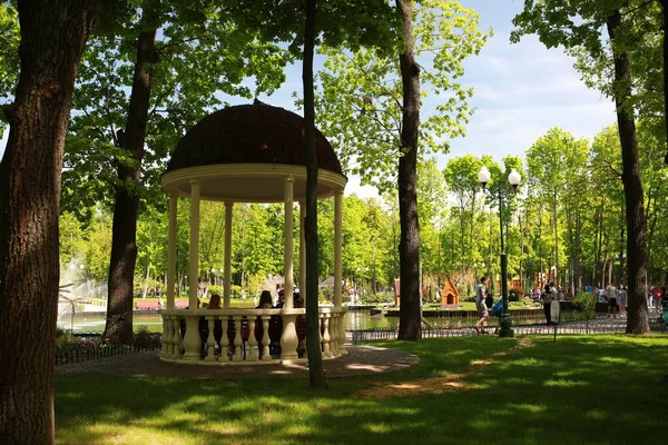 Mooi groot groen park met veel bomen en flora — Stockfoto