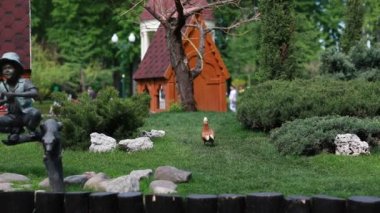 Göl kenarındaki yeşil, bakımlı güzel bir park.