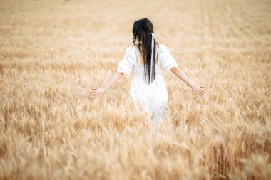 Spikelets of wheat in Ukraine, harvesting during the war. High quality photo