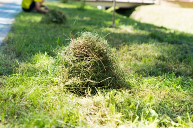 resimde samanlık alanında yalan