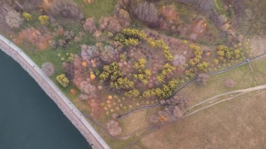 3 numaralı sonbahar ağacı deseni