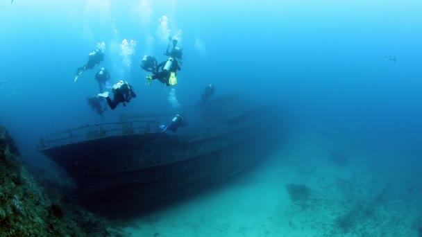 Un groupe de plongeurs nage près d'une épave sous-marine aux Fidji. — Video