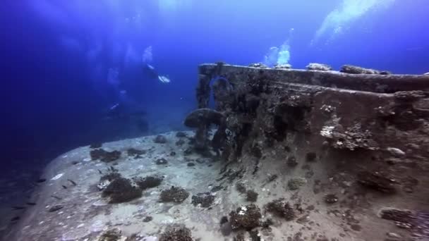 Водолазы плавают рядом с кораблекрушением, покрытым кораллами в Тихом океане. — стоковое видео