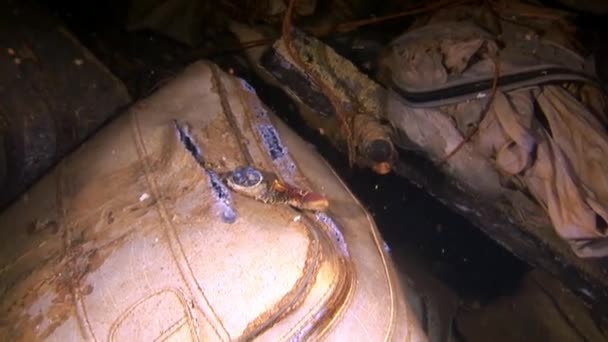 해상 난파 사건살 렘 익스프레스에서 죽은 사람의 개인 물품. — 비디오