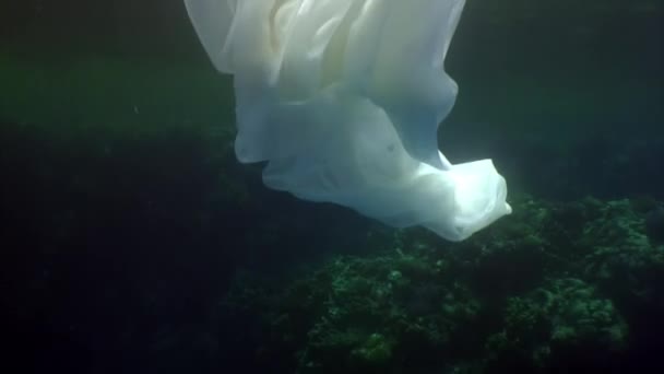 Ung kvinna undervattensmodell i vit duk på bakgrund av blått vatten. — Stockvideo