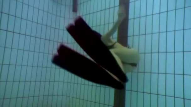 Κορίτσι freediver κολυμπά σε βατραχοπέδιλα υποβρύχια στην πισίνα. — Αρχείο Βίντεο