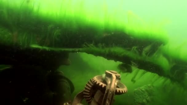 バイカル湖の海底に藻と草の緑藻の肥厚. — ストック動画