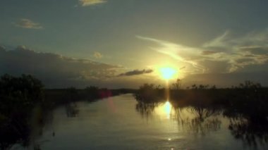 Mangroves 'ta gün batımında hareket halindeki tekneden Sian Kaan nehrindeki çalılıklara bak..