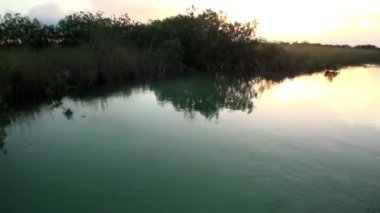 Mangroves 'ta gün batımında hareket halindeki tekneden Sian Kaan nehrindeki çalılıklara bak..