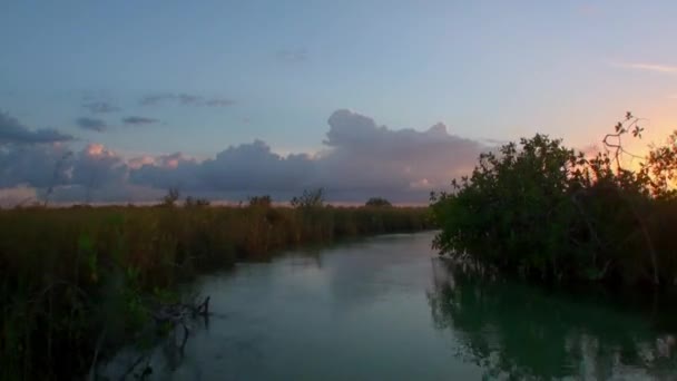 Uitzicht vanaf bewegende boot bij zonsondergang in Mangroves struikgewas in de rivier de Sian Kaan. — Stockvideo