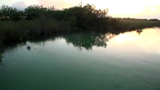 Kilátás mozgó hajó naplementekor Mangroves sűrű folyó Sian Kaan. — Stock videók