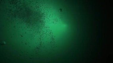 Yucatan Meksika 'da mağara dalışı.