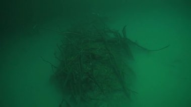 Yucatan Meksika 'da mağara dalışı.