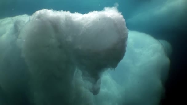 Underwater sea landscape of Arctic Ocean. — Stock Video