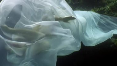 Mavi suyun arka planında beyaz giysili genç bir kadın..