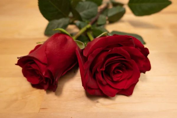 Zwei Rote Rosen Auf Holzgrund Nahaufnahme — Stockfoto