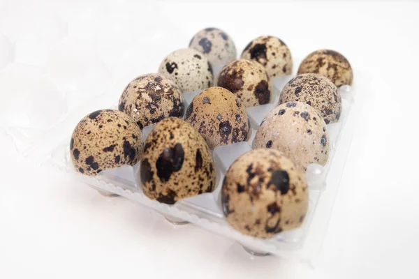 Dozen Quail Eggs Aplastic Carton White — Stock Photo, Image