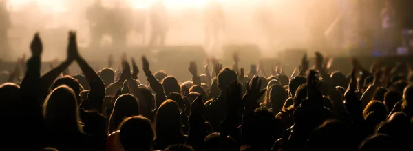 Parti ya da konserde kutlanan kalabalık