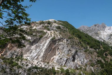 Yazın Carrara 'da bitki ve ağaçlarla kaplı kayalarla kaplı bir dağ manzarası.